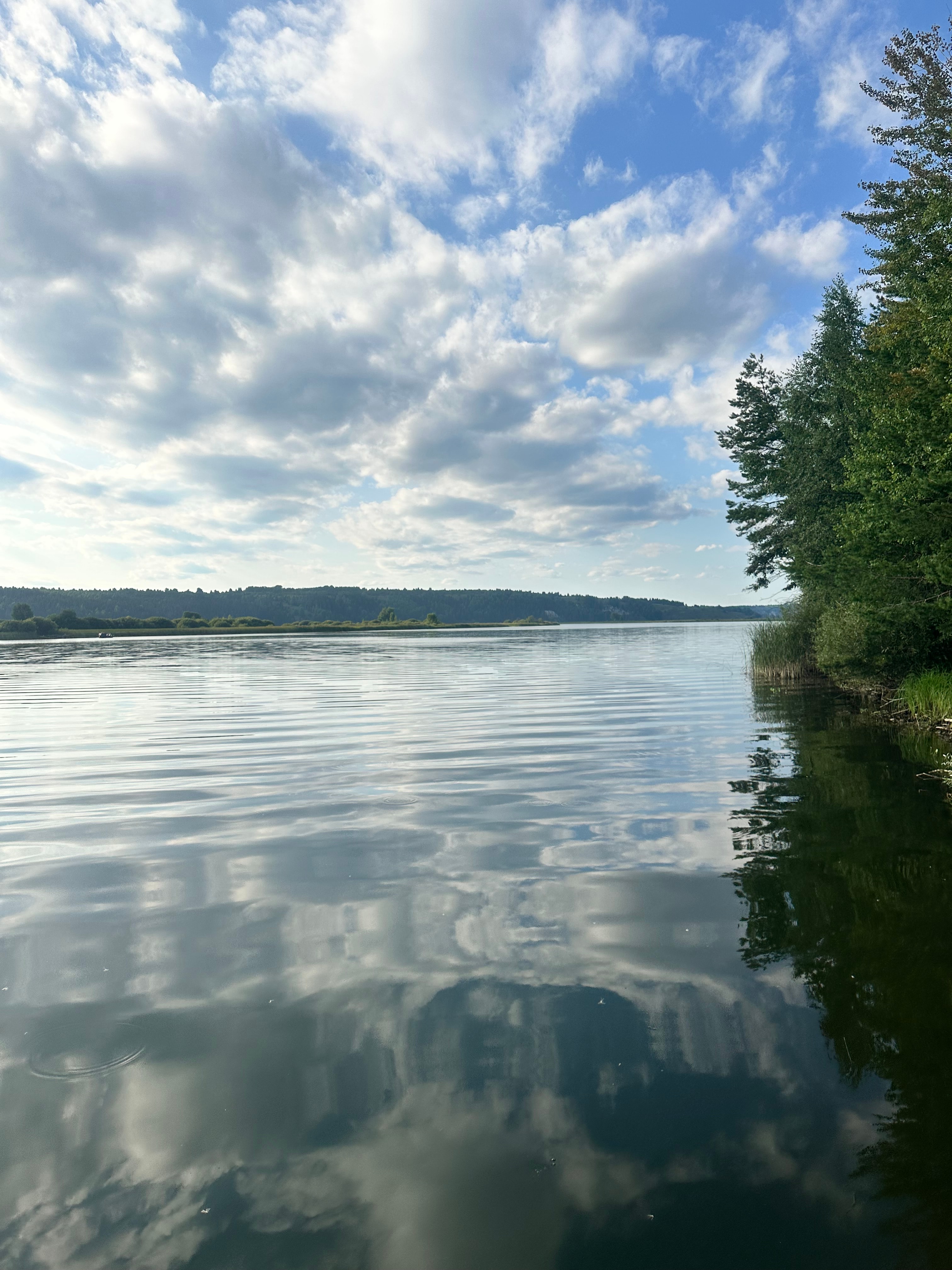 Как справиться с тревогой